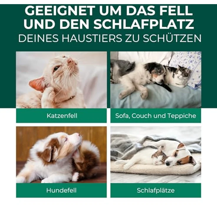 Silberkraft Flohspray für Hunde und Katzen, Anti-Floh-Spray mit Geraniol, 500 ml, Made in Germany – Bild 3