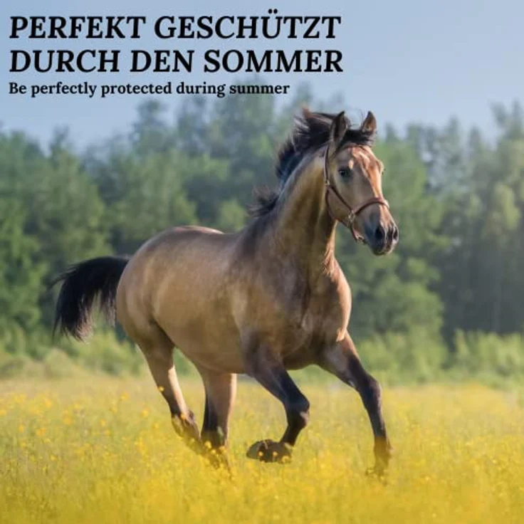 Stiefel RP1 Insekten-Stop Spray für Pferde, hochwirksamer Insektenschutz für Pferd & Reiter, beinahe geruchslos, Fliegenspray gegen Mücken, Bremsen, Zecken, mehrere St&en Wirksamkeit, 2500ml – Bild 4