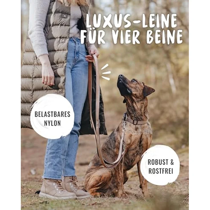 Rudelkönig Führleine Paola, 2,30m verstellbare Hundeleine für mittelgroße & große Hunde, reflexionseffekt in Rose, robust und reißfest, gepolstert aus Neopren & Nylon – Bild 2