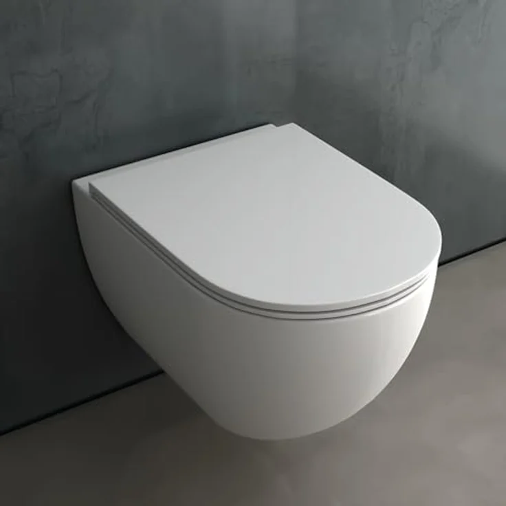 Alpenberger Tiefspül-WC Hänge WC - Wand WC Spülrandlos mit Toilettendeckel D Form, Abgang Waagerecht, WC Sitz mit Absenkautomatik - Made in EU - Passend zu Geberit, Keramik weiß, Nano-Beschichtung - Preisvergleich – Bild 4