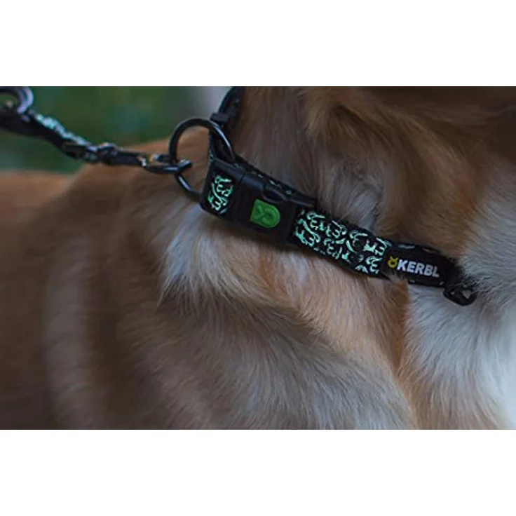 Kerbl 81049 Halsband Shiny Night 20mmx40-55cm, 0.058 kg – Bild 5