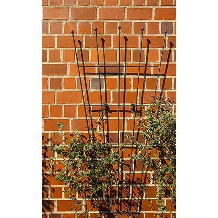 ELEO Rankgitter Brindisi groß anthrazit schwarz - fächerförmig 170x81 cm wetterfest pulverbeschichtet - Spalier aus Metall mit Wandhalterung – Bild 2