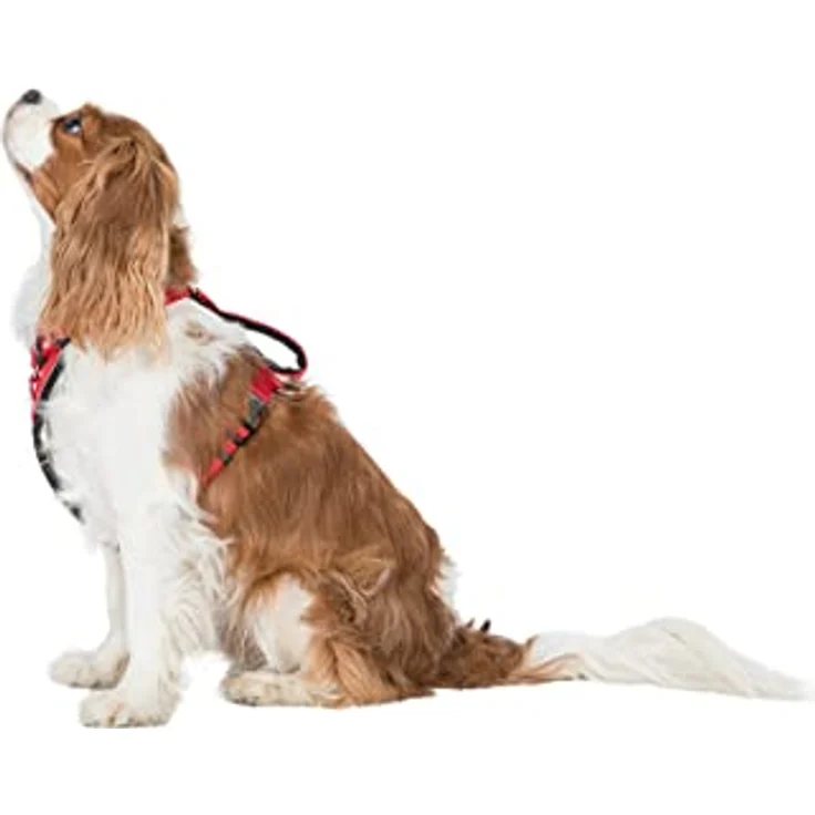 Trespaws Tanked PET CAR Safety Harness, Hundegeschirr in Postbox Rot, Größe S/M – Bild 1