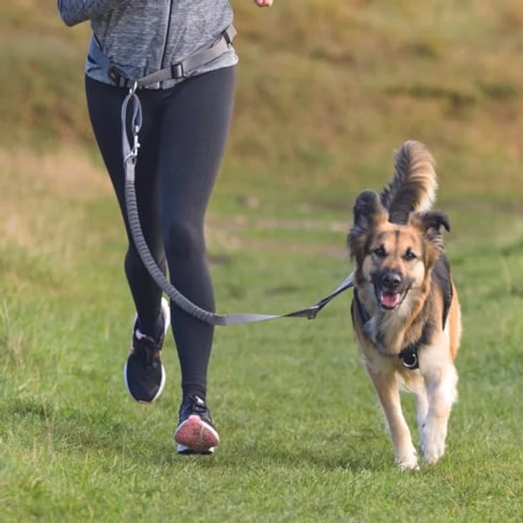 TRIXIE Joggingleine für Hunde mit Bauchgurt M-L, 1,20–1,50 m 25 mm in grafit/schwarz - für Sport und Bewegung - für mittelgroße bis große Hunde – Bild 4