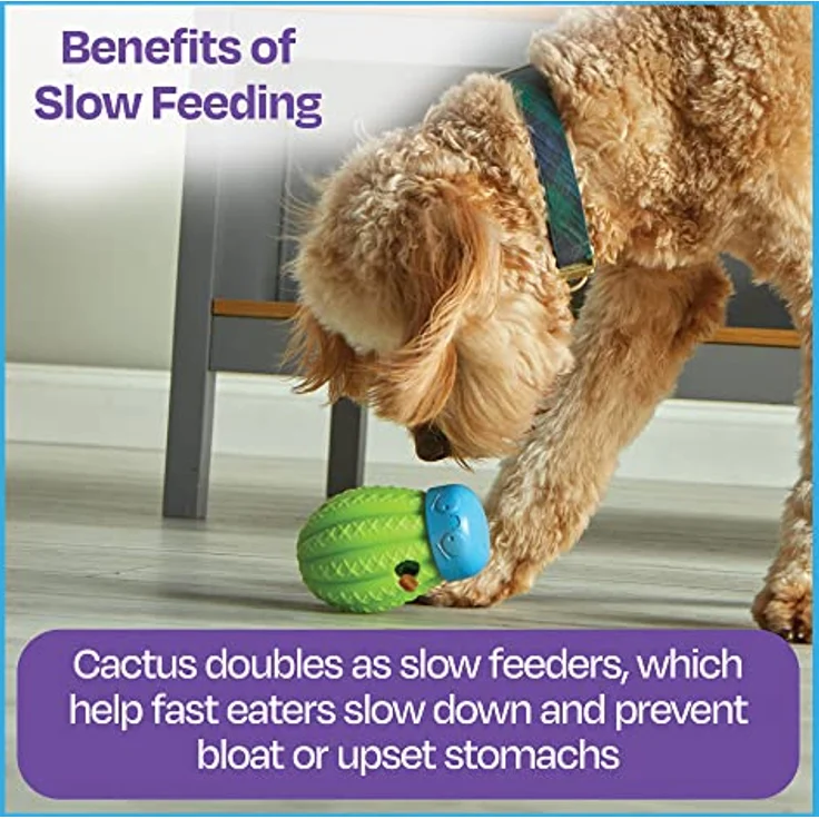 Brightkins Cactus Surprise Treat Dispenser (Beschäftigungsspielzeug), Hundespielzeug – Bild 7