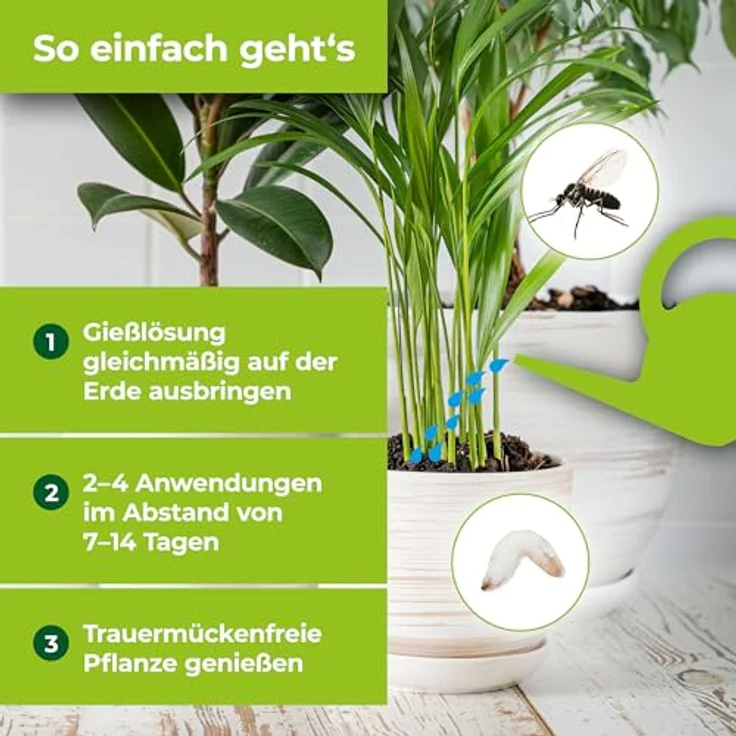 Bayer Schädlingsfrei Lizetan Gießmittel AZ 30 ml – Bild 5