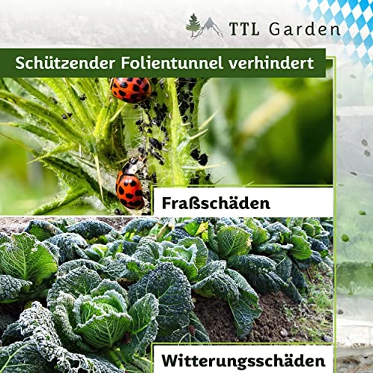 TTL GARDEN Quick&Easy Beettunnel 300x45x30cm, PE Folie für Frühbeet Effekt, ideal für Gemüse und Jungpflanzen – Bild 6