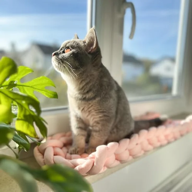 Aumüller Fensterbankliege für Katzen - Katzenbett aus Grobstrick - Rosa, gemütlicher Ruheplatz mit erhöhtem Rand - Preisvergleich – Bild 3