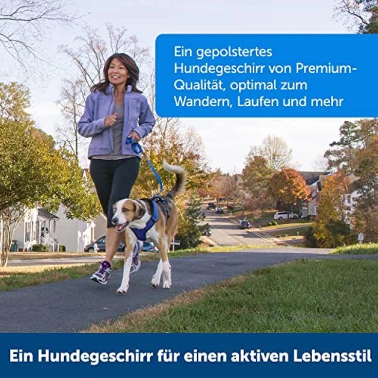 PetSafe EasySport Geschirr (Hund, Spazieren), Halsband + Leine – Bild 5