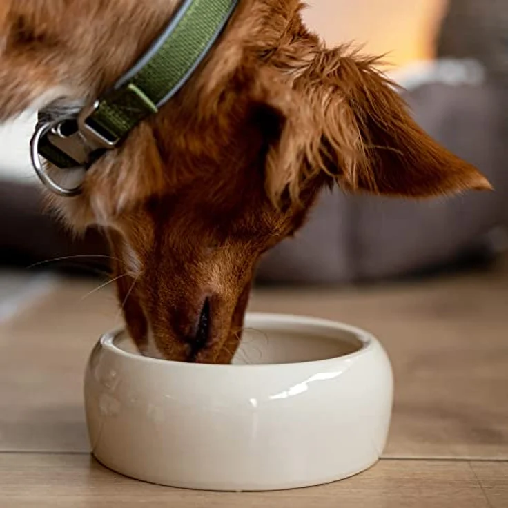 Nobby Keramik Futtertrog 125 ml – Bild 3