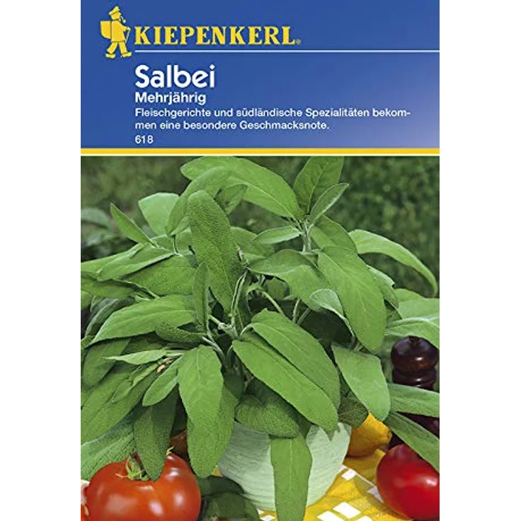 Kiepenkerl Echter Salbei (Salvia officinalis), aromatischer Kräutersamen für vielfältige Verwendungsmöglichkeiten – Bild 1