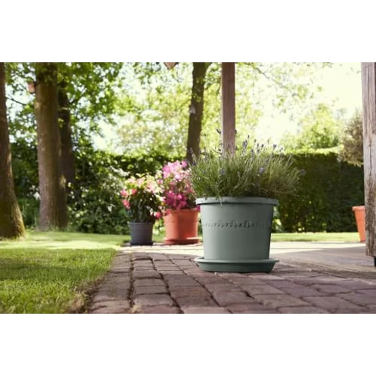 elho Universal Untersetzer Rund 30 - Untersetzer für Innen, Außen und Zubehör - Grün/Thymian Grün – Bild 4