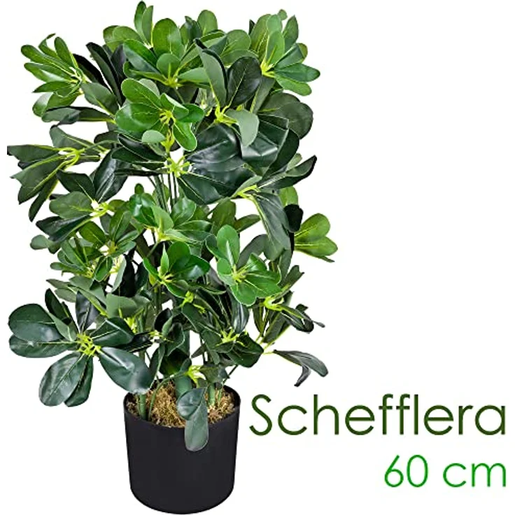 Decovego Schefflera Aralie Strahlenaralie Arboricola Kunstpflanze Kunstbaum Künstliche Pflanze 60 cm Innendekoration Kunst Pflanze wie echt im Topf – Bild 2