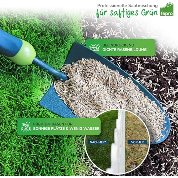 Fepro Trockenrasen 10 kg, schnellkeimende, trocken- und dürreresistente Grassamen für 400m², ideal für Neuansaat und Nachsaat, auch für Schattenrasen geeignet – Bild 3