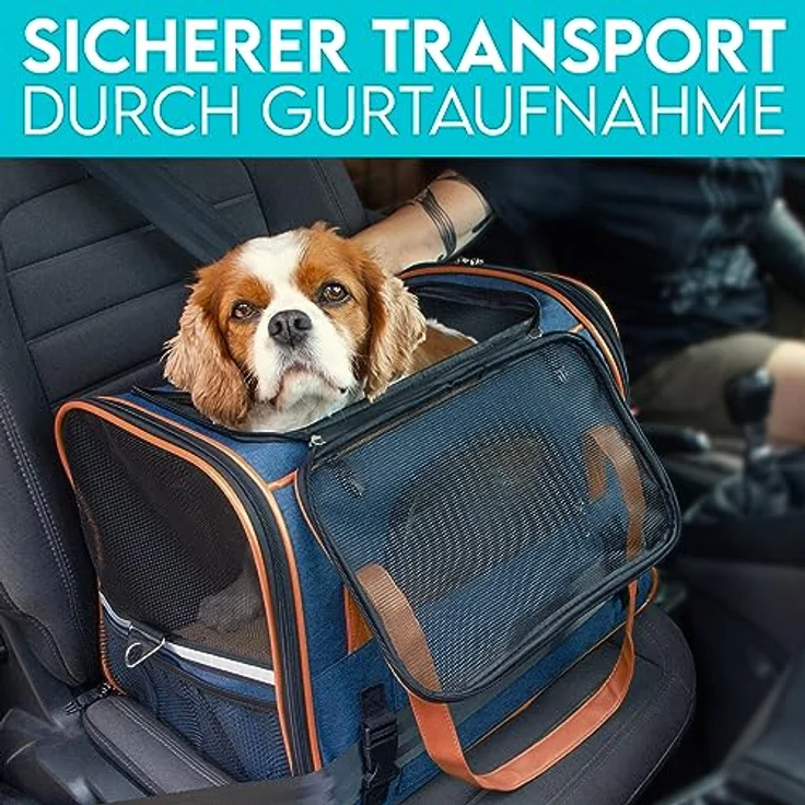 HUND IST KÖNIG® Hundetasche Katzentasche bis 6,5kg - robust & formstabil | Hochwertige Hundetragetasche | Transporttasche Katze - faltbar & leicht zu verstauen | Hundebox Auto Transportbox Katze – Bild 5