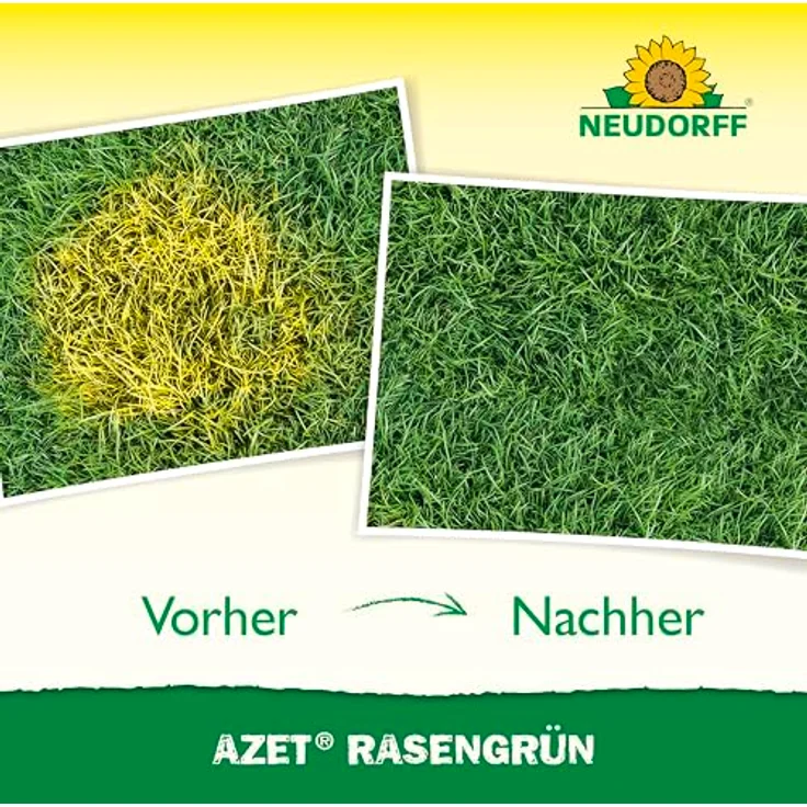 Neudorff Azet Rasengrün, Rasendünger zur schnellen Auffrischung gelblich verfärbter Stellen im Rasen, 250 ml – Bild 5