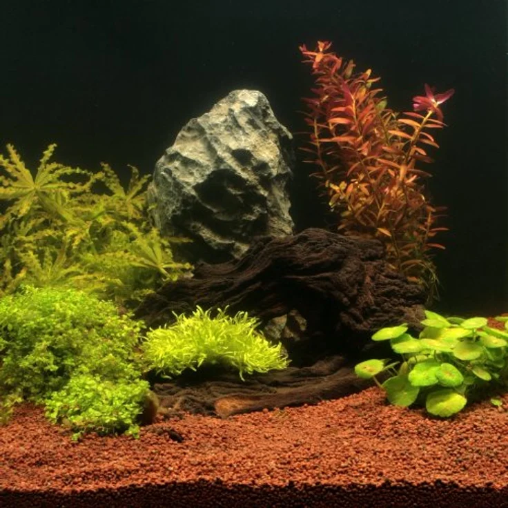 JBL Aquarien-Substrat Manado, 25 l, Körnung 0,5-2 mm – Bild 3