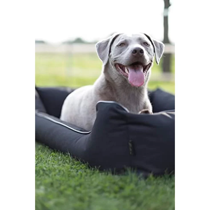 Lebon - Hundebett Paula Plus Schwarz - Orthopädisch - 3 Größe - 80 cm - 100cm - 120cm -Mit Reißverschluss und waschbar - Pflegeleicht - Schmutz - und Wasserabweisend (L) – Bild 2