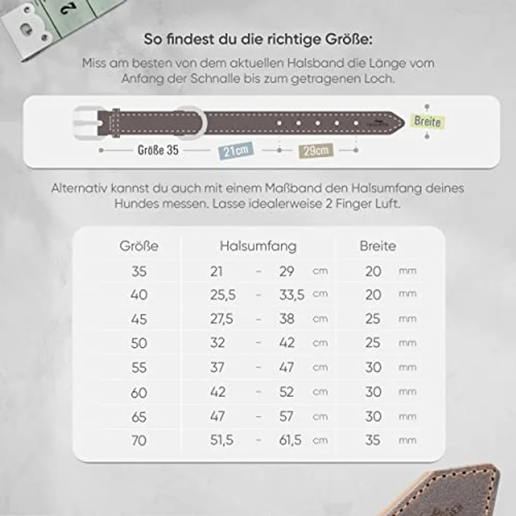 FREUDENTIER® Hundehalsband aus Leder, Made in Holland, gefüttert & super komfortabel, hochwertiges breites Lederhalsband aus zertifiziertem Vollnarbenleder, Model Amstelpark (25.5-33.5cm Halsumfang) – Bild 2