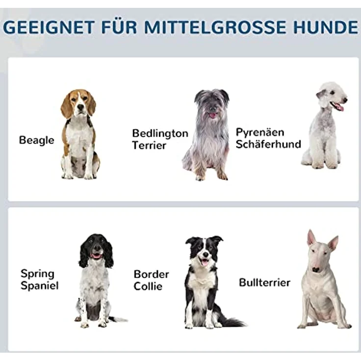 PawHut Hundenapf mit Schublade, erhöhter Fressnapf, Doppel Hundenapf aus Edelstahl, Futternapf für mittelgroße Hunde, Hunde Fressnapf mit Staumraum, Katzenapf, Futterstation, Grau – Bild 4