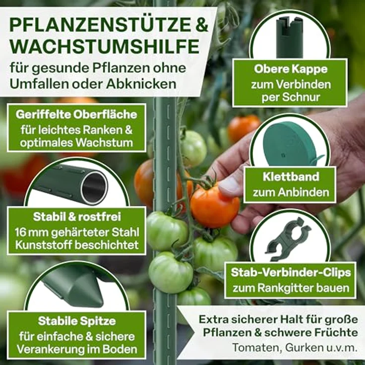 TTL GARDEN Rankstäbe 15er Set, 150cm x 16mm Ø grün, extra stabil mit Klettband und Clips, rostfreier Stahl, für Tomaten und Kletterpflanzen – Bild 3