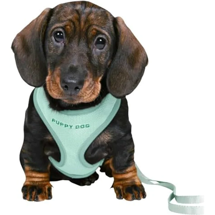 TRIXIE 15565 Junior Welpen-Softgeschirr mit Leine, S–M: 26–34 cm/10 mm, 2,00 m, Mint – Bild 2
