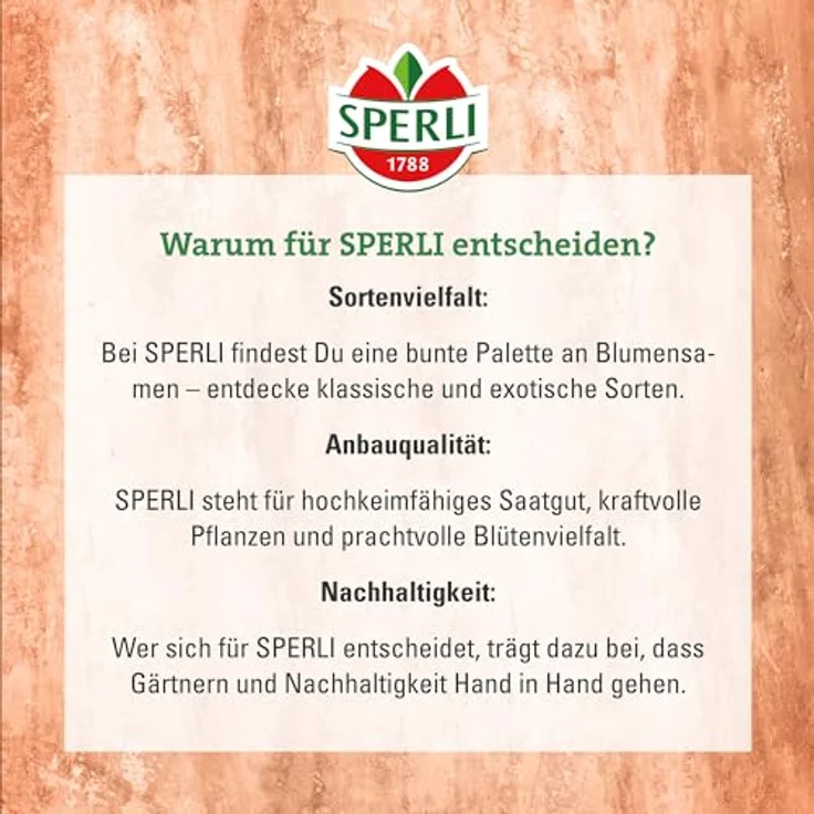 Sperli Fackelblume Tithonie Fiesta del Sol – Bild 7