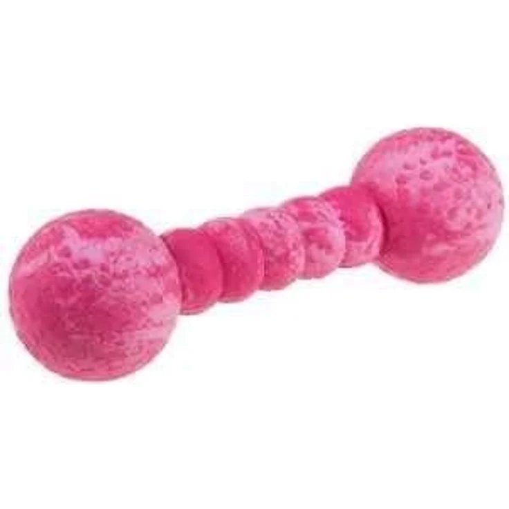 Wolters Cat & Dog Aqua-Fun Gym 23 cm, Aqua, Hundespielzeug aus 100% Naturkautschuk, robust und langlebig, ideal für große Hunde – Bild 1