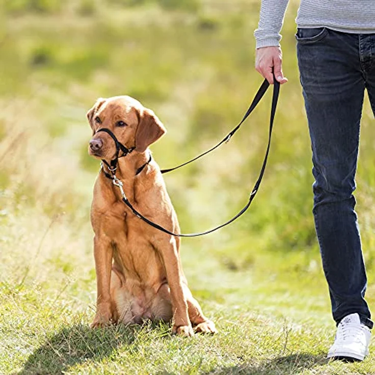 Trixie Top Trainer Ausbildungsgeschirr schwarz L-XL: 37 cm – Bild 3