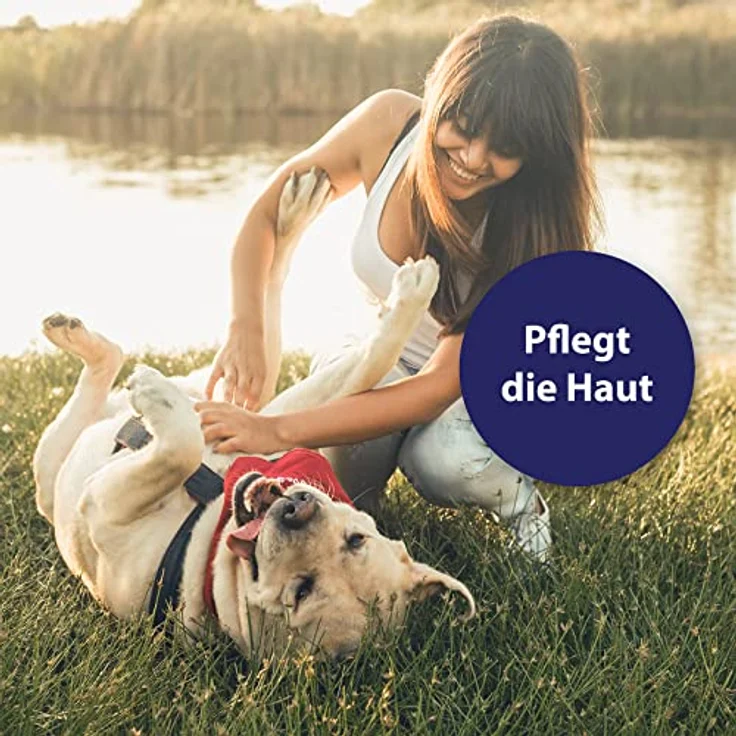 Canosept Hautpflege Spray für Hunde, 250ml - Regenerierende Lotion gegen Juckreiz und Hautreizungen, natürliche Wirkstoffe – Bild 6
