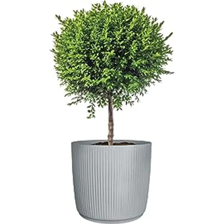Scheurich Linetto 47, Pflanzgefäß/Blumentopf/Pflanzkübel, rund, Farbe: Stony Grey, hergestellt mit recyceltem Kunststoff, 10 Jahre Garantie, für den Außenbereich – Bild 4