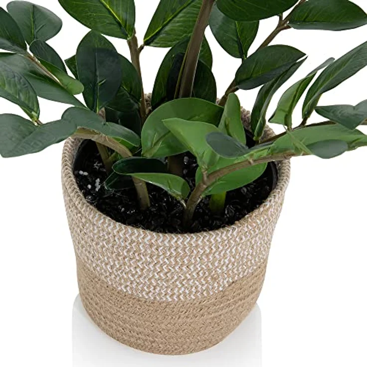 hjh OFFICE Kunstpflanze ZAMIE Höhe 50 cm Deko Zamioculcas Zimmerpflanze Glücksfeder künstlich, 871008 – Bild 3