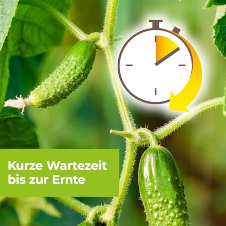 PG Spezial-Pilzfrei Aliette 4x10 g – Bild 5