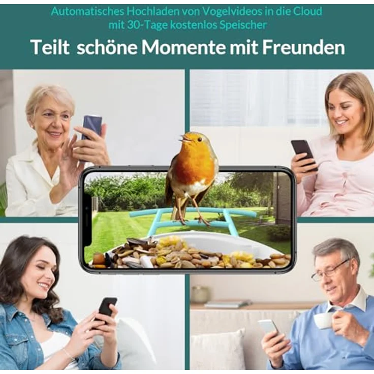 NETVUE Birdfy Vogelhaus mit Kamera, Vogelfutterstation, Futterstationen für Wildvögel, Vogelfutterhaus mit 1080P Kamera Video Aufnehmen, Vogelfutterspender Kamera Vögel Erkennung (Birdfy Lite+Solar) - Preisvergleich – Bild 5