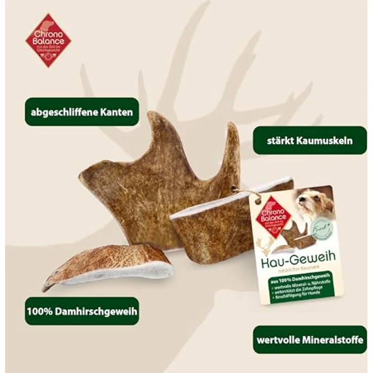 ChronoBalance XL (2er Set) Kaugeweih Damhirsch für Hunde: 100% Geweih Abwurfstange, natürlicher Kausnack zur Zahnpflege, Mineralstoffe & Nährstoffe, deutsche Wälder – Bild 2