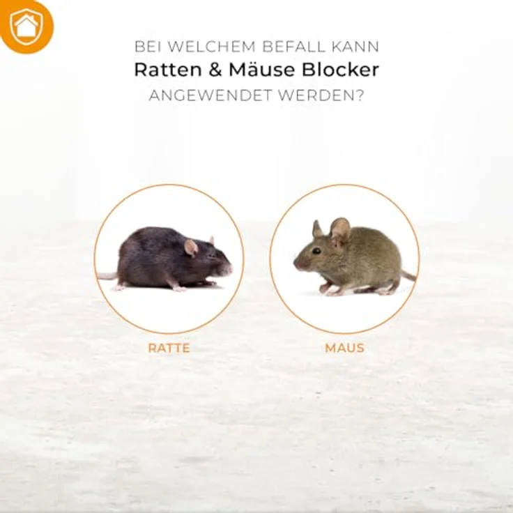 Protect Home Ratten und Mäuse Blocker, giftfreies Pulver zur Vertreibung von Nagern, 300 g – Bild 4