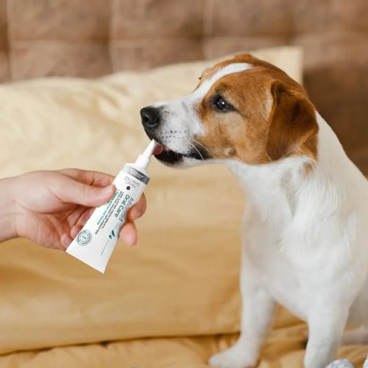 MERSJO Zahnpasta für Hunde und Katzen, 35 ml, mit Silber-Nanopartikeln zur Plaque- und Zahnfleischentzündungsreduzierung – Bild 3