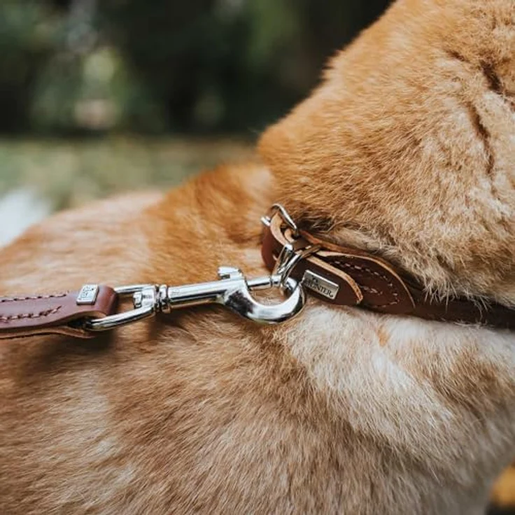 Hunter Hunde-Halsband Round & Soft braun M – Bild 4