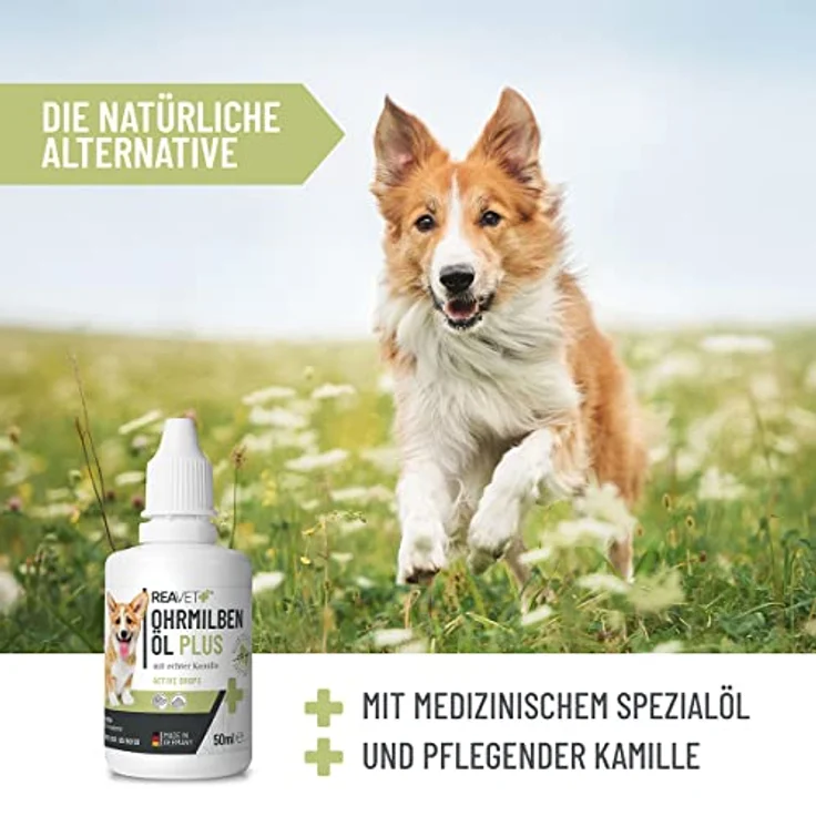 ReaVET TESTURTEIL SEHR GUT 09/23 Ohrmilbenöl Plus 50ml sofort wirksames Mittel für Hunde – gegen Ohrmilben mit Kamille für Hund, Sanfte Pflege bei Juckreiz im Ohr, Ohrentropfen Milben, Ohrenreiniger – Bild 5