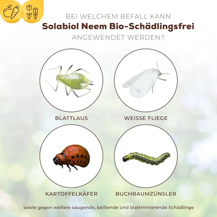 Bayer Solabiol Bio-Schädlingsfrei Neem 60 ml – Bild 5