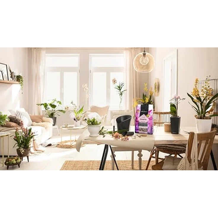 Lechuza® Orchidpon Substrat 6 L, torffreies Pflanzgranulat für Orchideen, vorgefüllt mit Nährstoffen – Bild 5