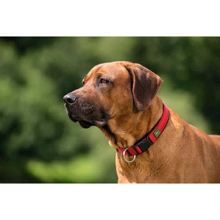 Hunter Hunde-Halsung Neopren Vario Plus rot-schwarz M – Bild 4