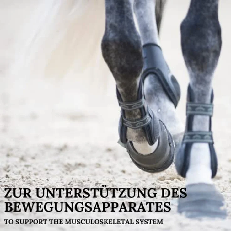 Stiefel Weidenrinde für Pferde, 100% natürliche Weidenrinde, Gelenkbeschwerden & Stoffwechselproblemen, schmerzlindernde & entzündungshemmende, Positive Wirkung bei Rheuma & Arthrose, 500 g – Bild 4