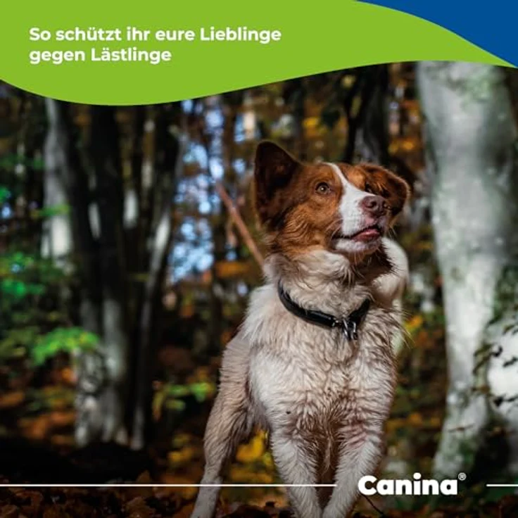 Canina 74161 8 Petvital Verminex, 50 ml (1er Pack) – Bild 4