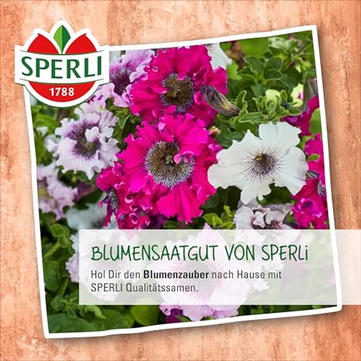 Sperli Portulakröschen Prachtmischung – Bild 5