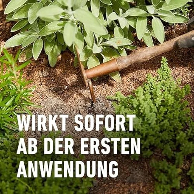 Compo BIO Kräuterdünger 500 ml – Bild 6