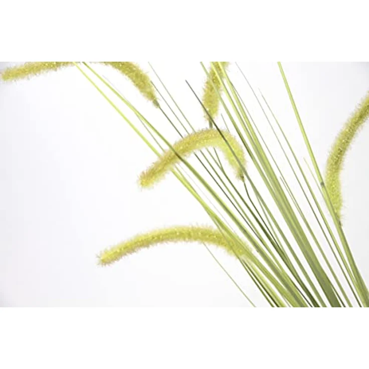 Flair Flower Fuchsschwanzgraszweig 2er Set, täuschend echte Kunstblumen in hochwertiger Qualität, 10x120x10 cm – Bild 3