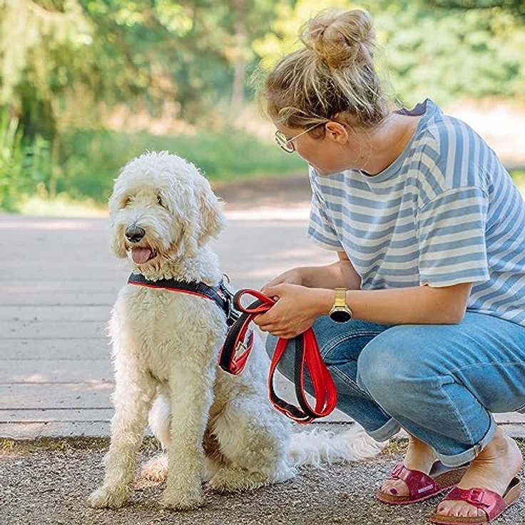 Nobby Norwegergeschirr Mesh Preno, neon gelb L: 60-76 cm + 46 cm, B: 25/35 mm, 1 Stück – Bild 4