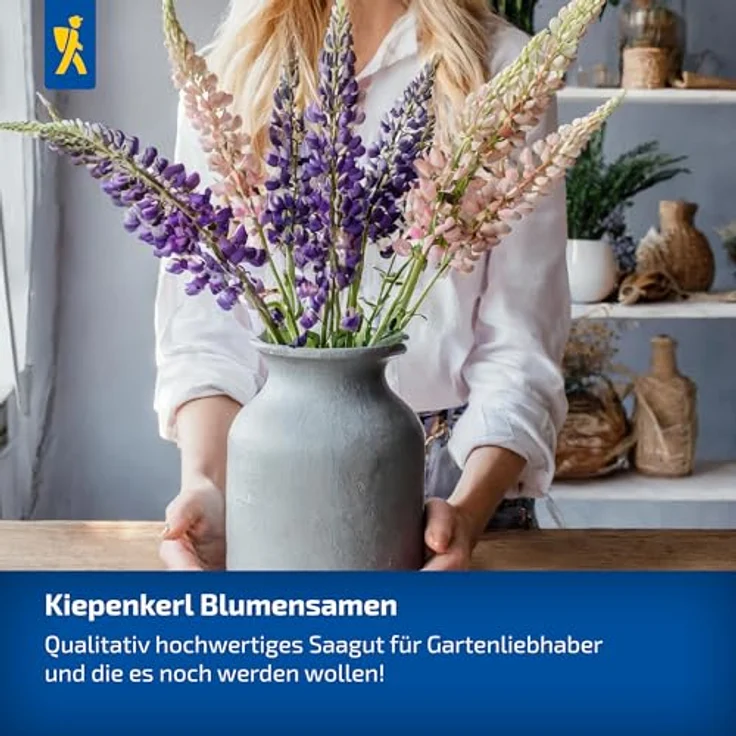 Kiepenkerl Sonnenblume Gelber Diskus, Schnittblume mit leuchtenden Blüten, ideal als Sichtschutz – Bild 3