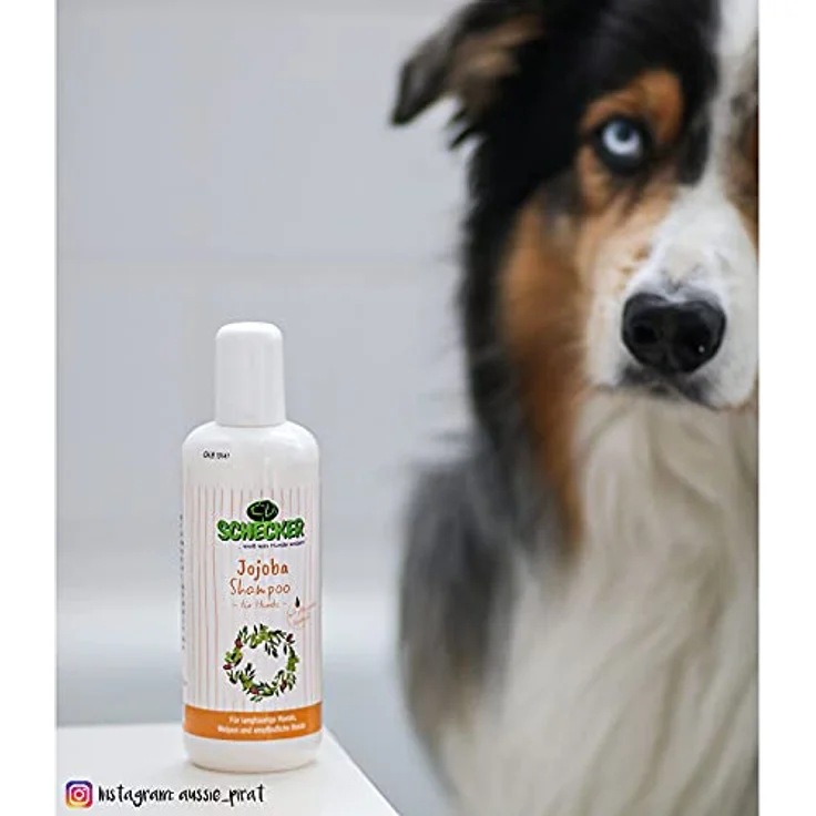 Schecker Jojoba Shampoo, mildes pH-neutrales Tiershampoo für empfindliche Haut, 250 ml – Bild 3